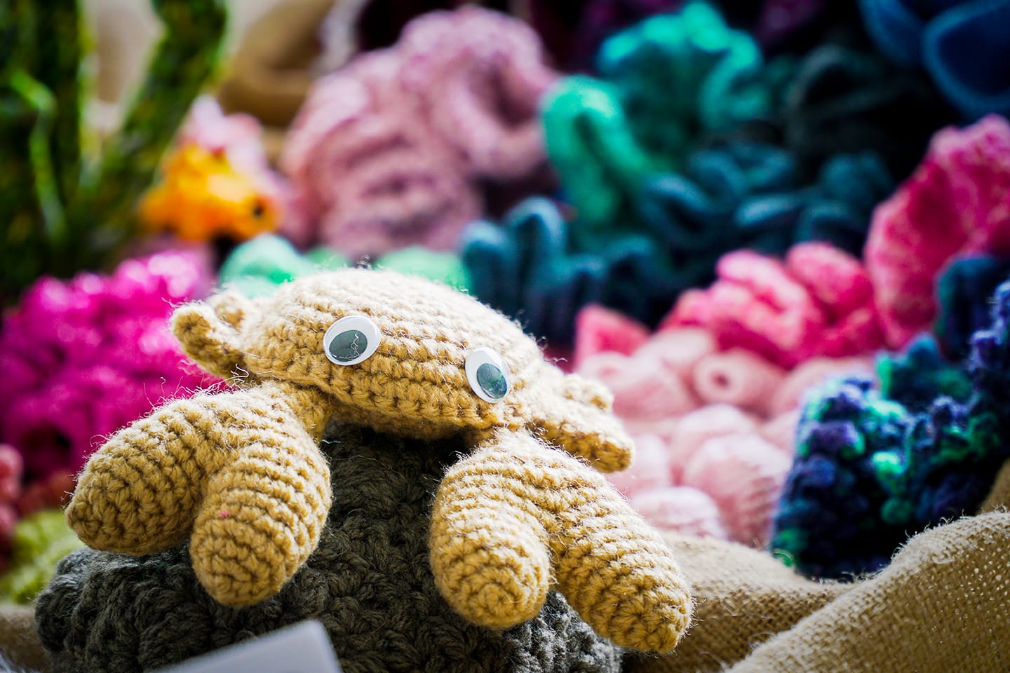 marine life made from yarn to raise awareness about climate change
